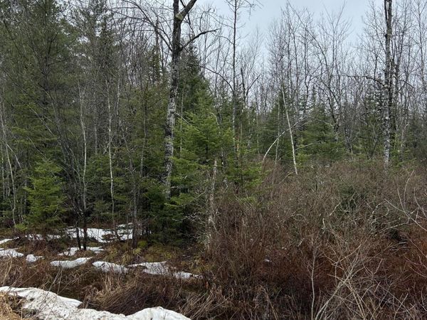 0 Burr Lane, Bowdoin, ME 04287