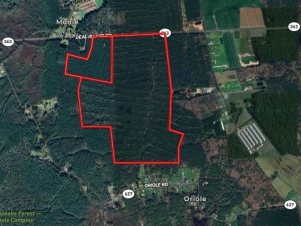 0 DEAL ISLAND ROAD , PRINCESS ANNE, MD 21853