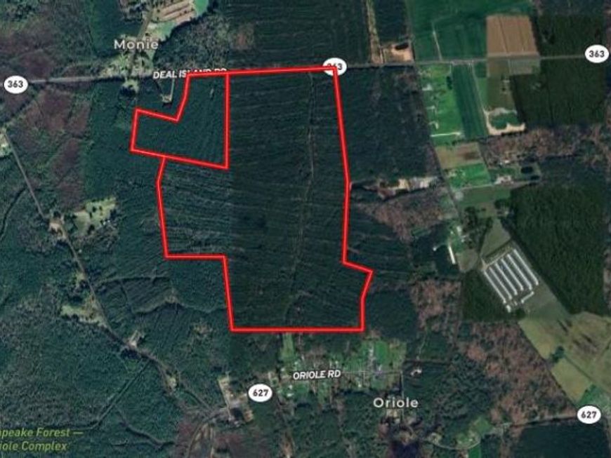 0 Deal Island Road , Princess Anne, MD 21853 Main Photo