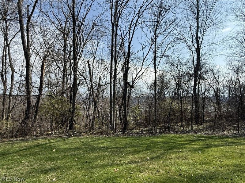 601 Emmett Way, Steubenville, OH 43952 Photo 24