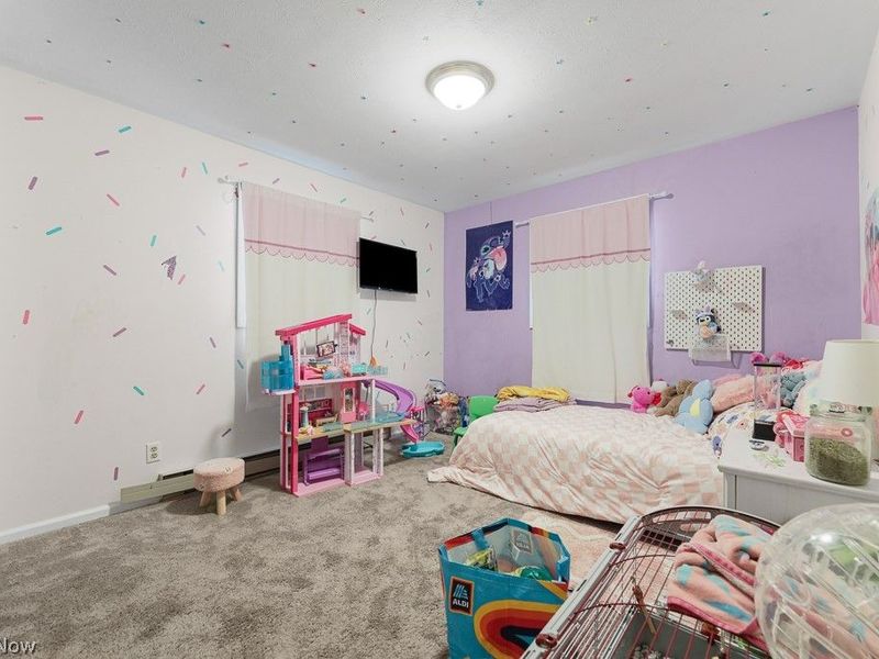 212 Case Road, Beloit, OH 44609 Photo 38