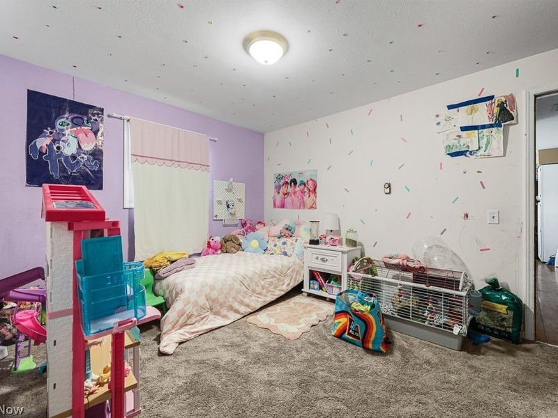 212 Case Road, Beloit, OH 44609 Photo 39