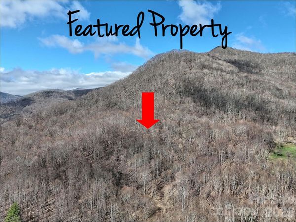 00 Neds Branch Road, Waynesville, NC 28785