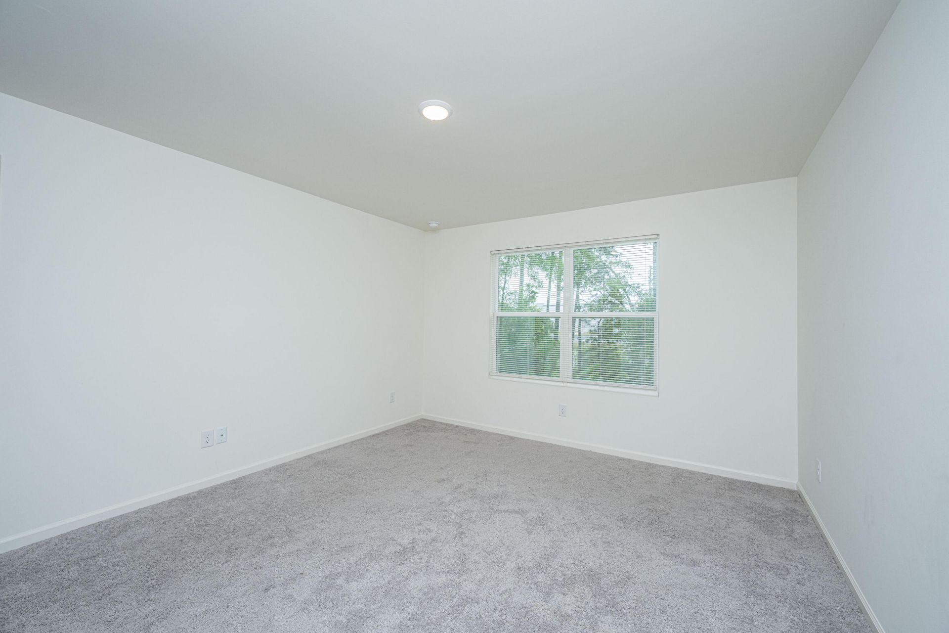 2102 Scarlett Maple Street Photo 11