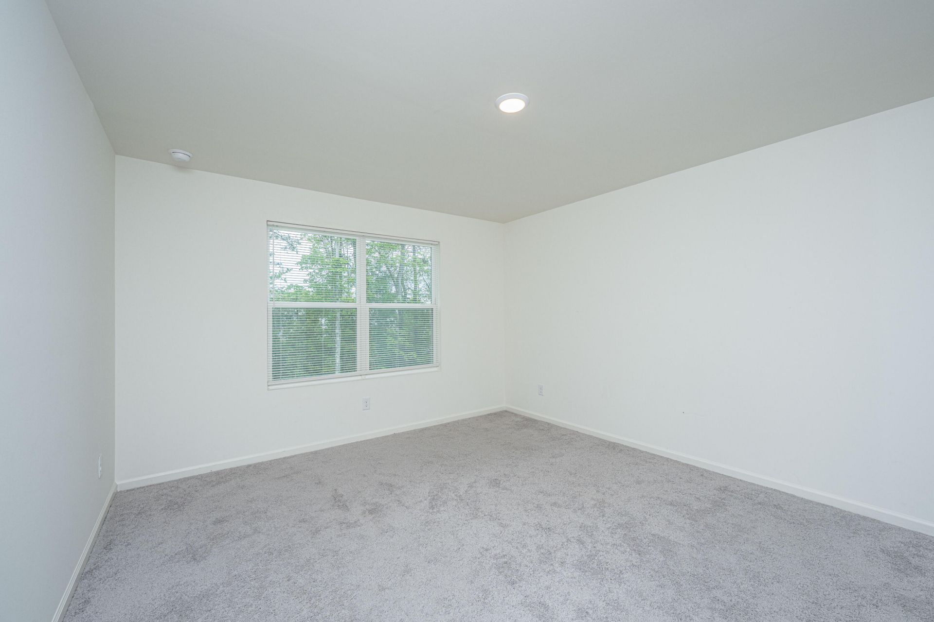 2102 Scarlett Maple Street Photo 11