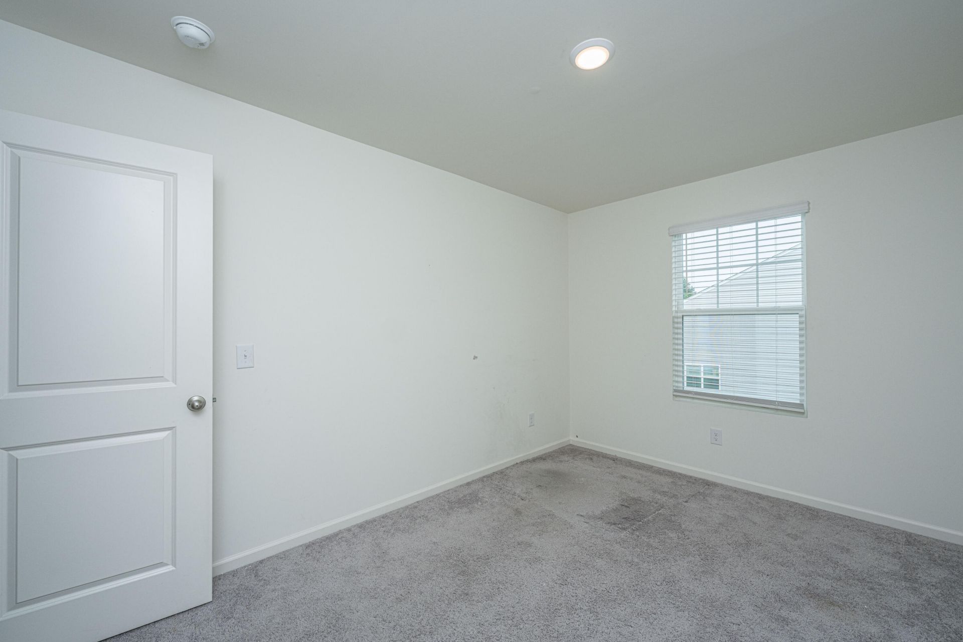 2102 Scarlett Maple Street Photo 19