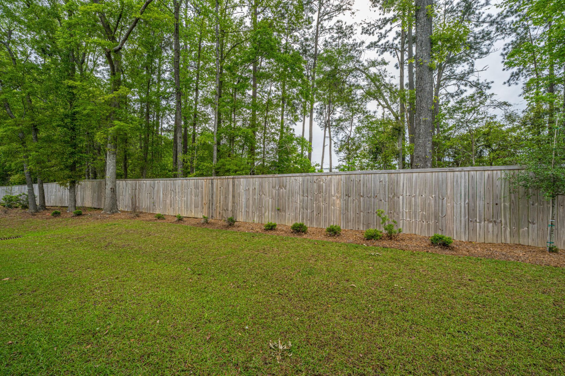 2102 Scarlett Maple Street Photo 25