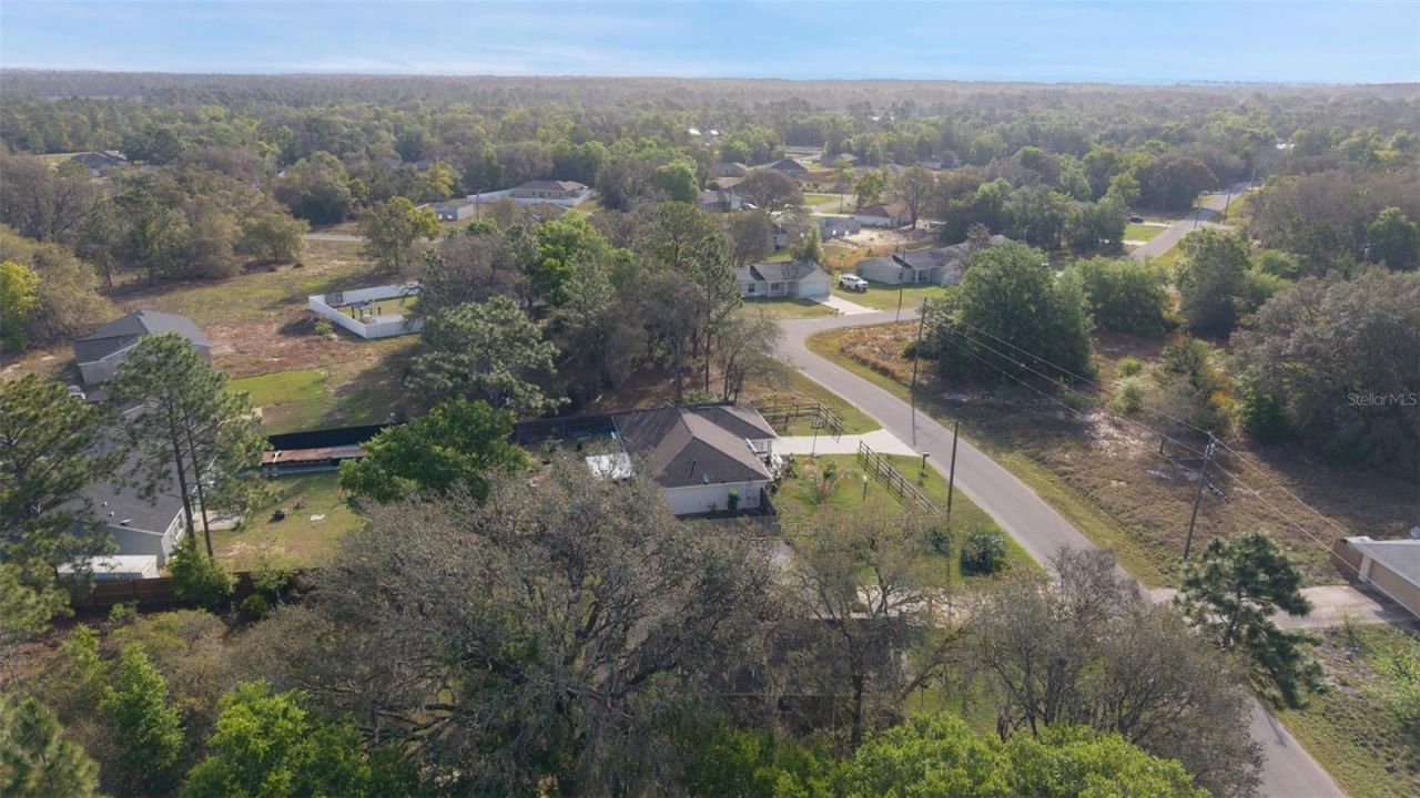 13 Malauka Radial Run, Ocklawaha, FL 32179 Photo