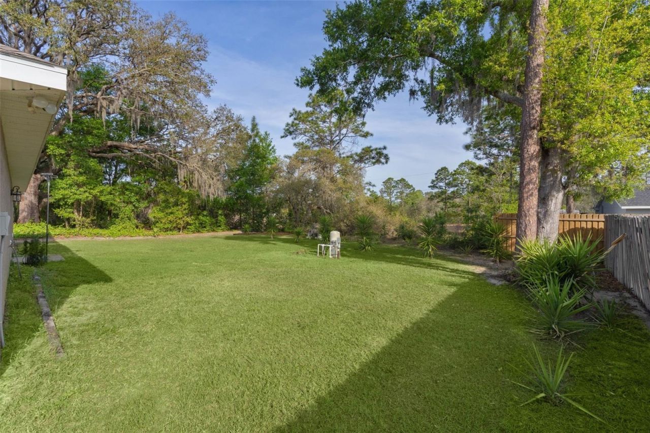 13 Malauka Radial Run, Ocklawaha, FL 32179 Photo