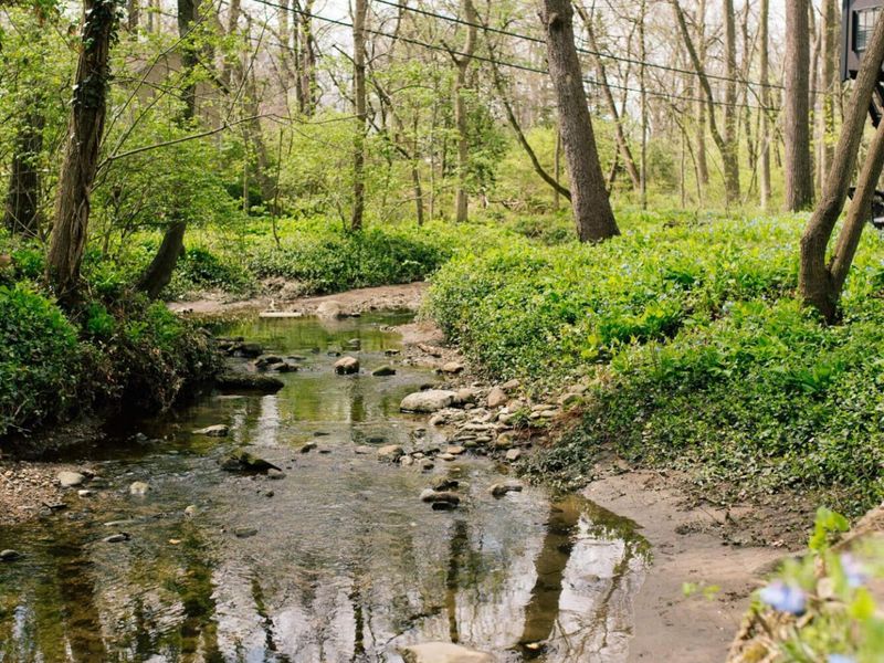 2655 Minerva Lake Road, Columbus, OH 43231 Photo 101