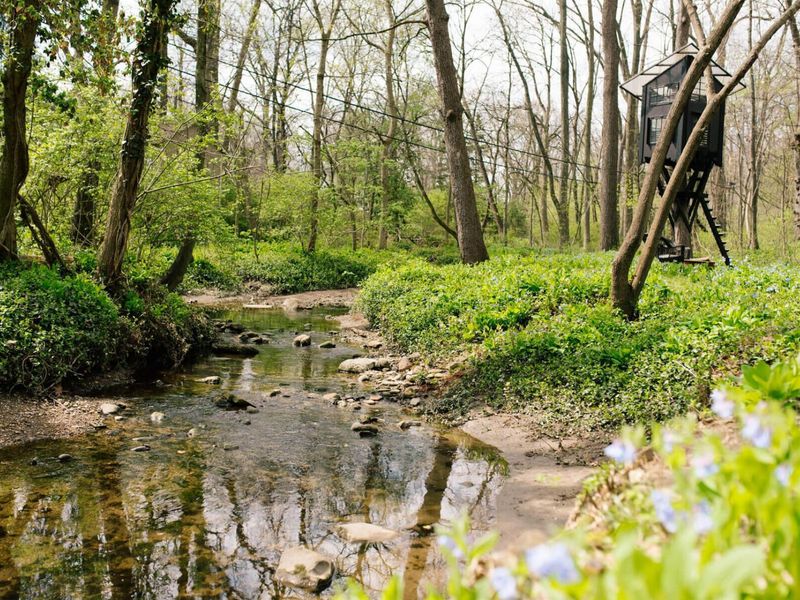 2655 Minerva Lake Road, Columbus, OH 43231 Photo 102