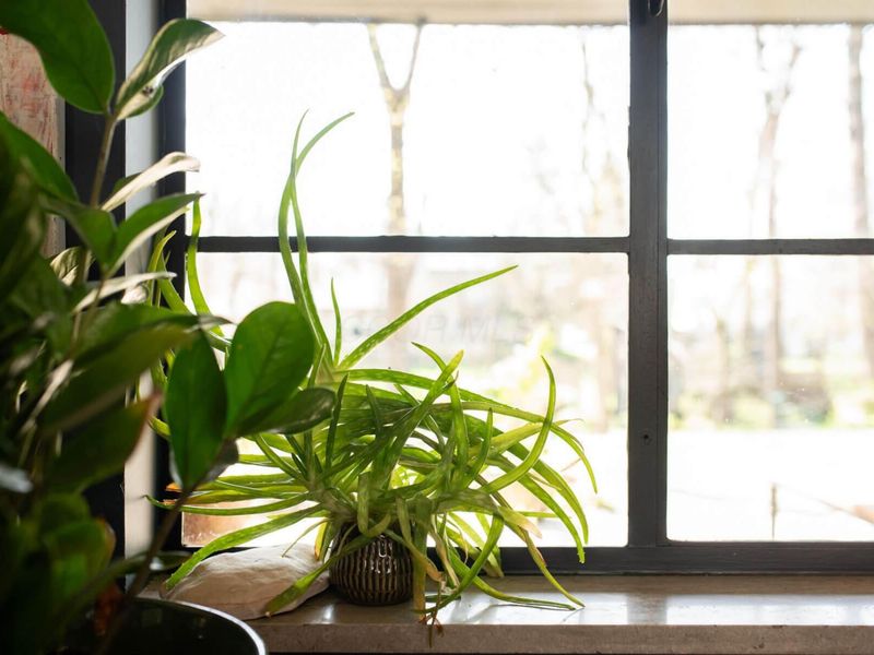 2655 Minerva Lake Road, Columbus, OH 43231 Photo 18