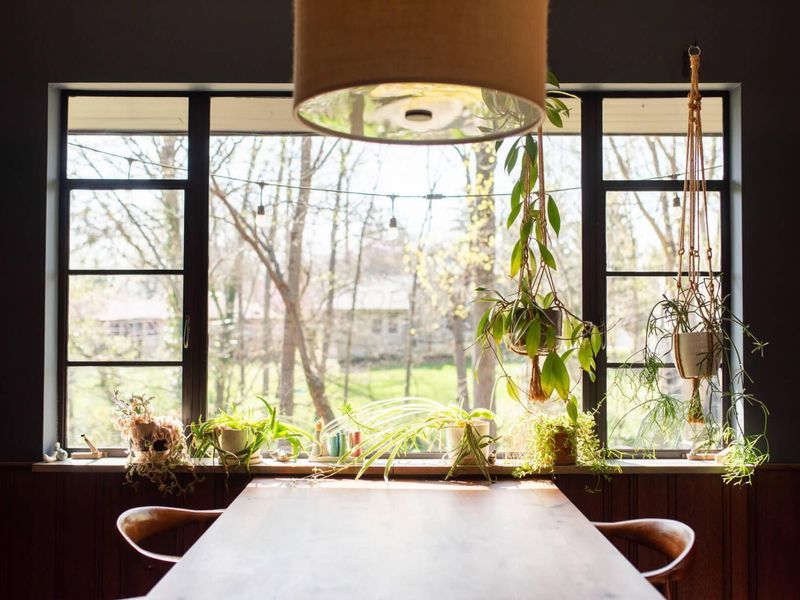 2655 Minerva Lake Road, Columbus, OH 43231 Photo 32