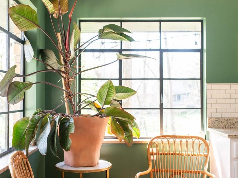 2655 Minerva Lake Road, Columbus, OH 43231 Photo 43