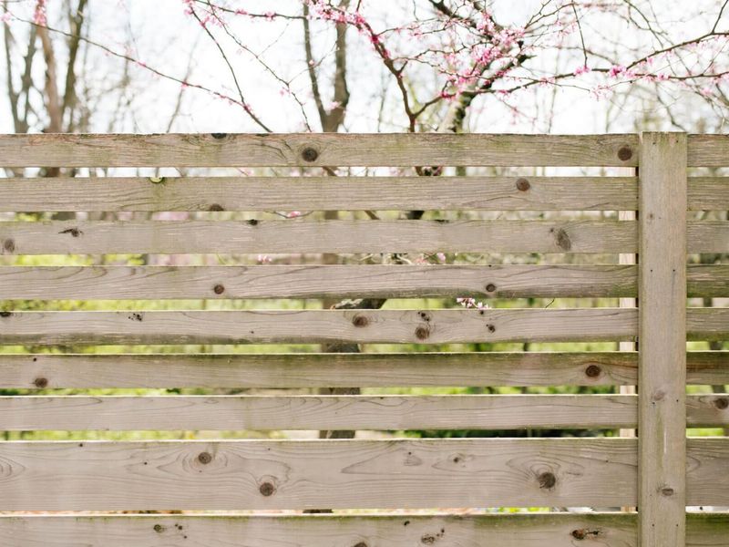 2655 Minerva Lake Road, Columbus, OH 43231 Photo 9