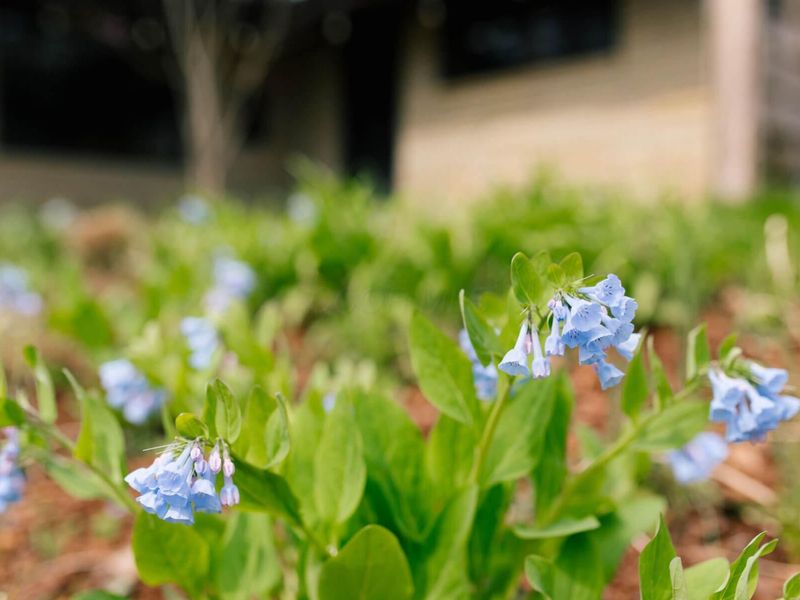 2655 Minerva Lake Road, Columbus, OH 43231 Photo 98