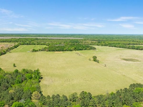 000 COUNTY ROAD 2356 , Detroit, TX 75436