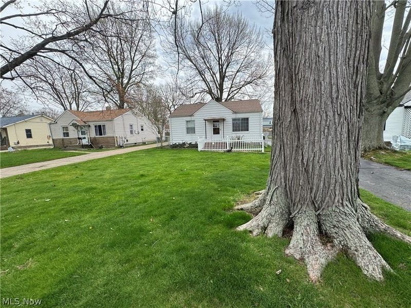 34046 Sylvia Drive, Eastlake, OH 44095 Photo 2