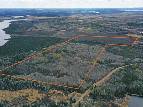 4268 Crane Lake Road, Orr, MN 55771