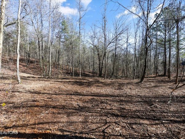 Sunrise Lane, Decatur, TN 37322