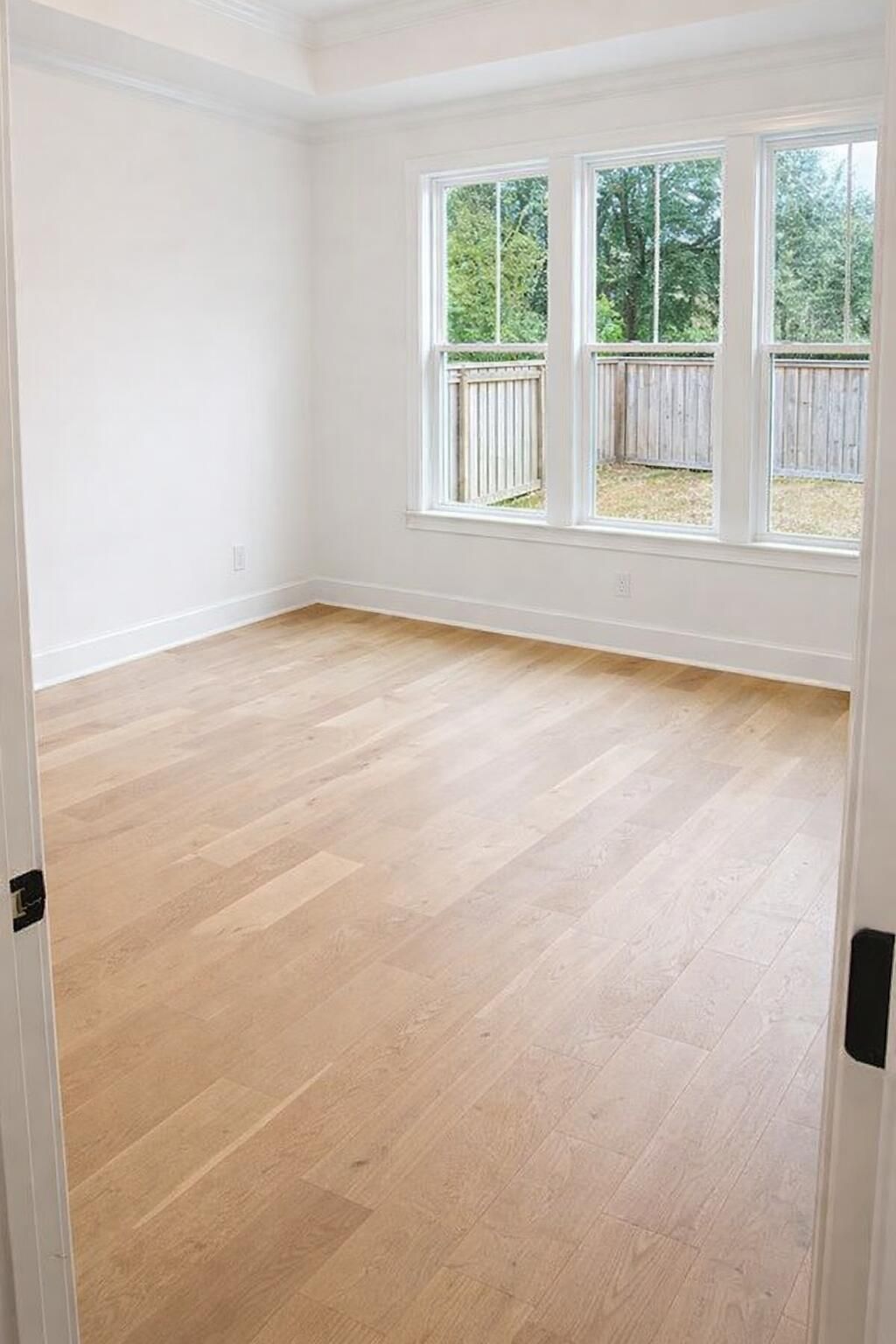 817 Shutes Folly Drive Photo 11