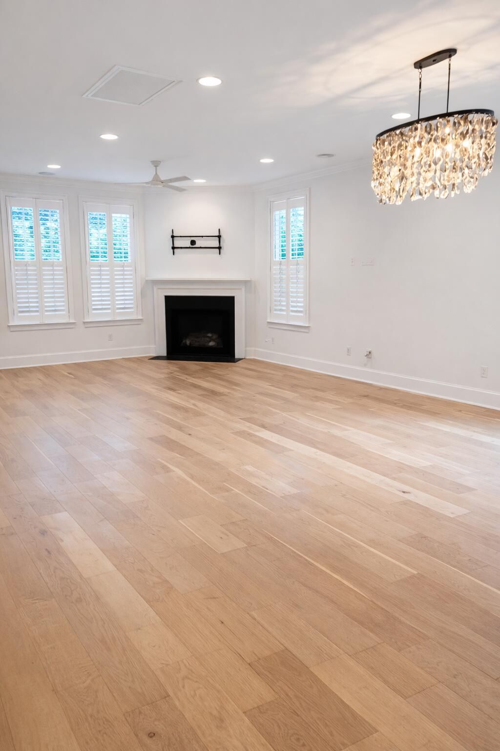 817 Shutes Folly Drive Photo 5