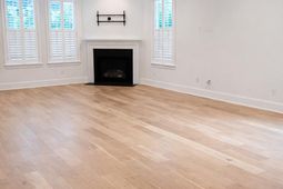 817 Shutes Folly Drive photo 4