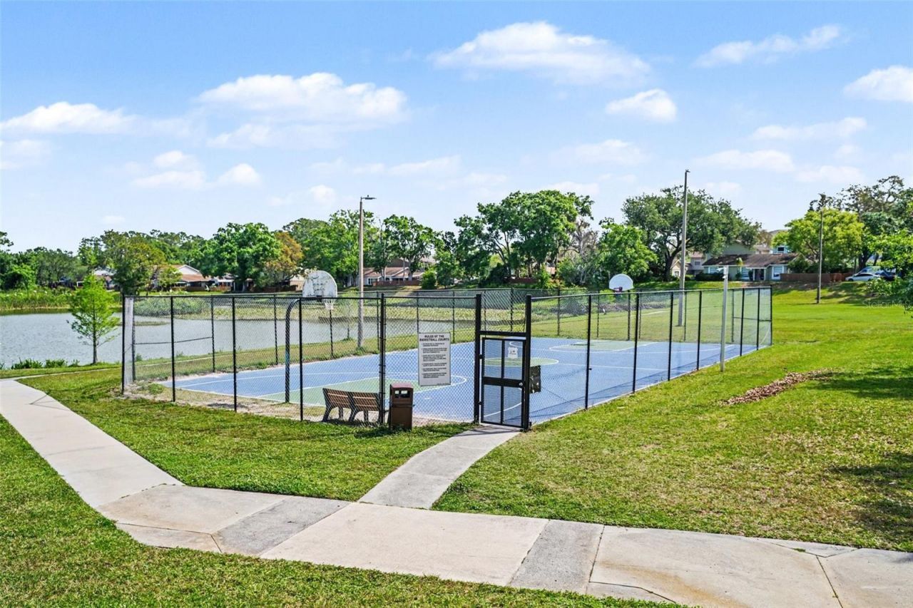 14733 Pine Glen Circle, Lutz, FL 33559 Photo