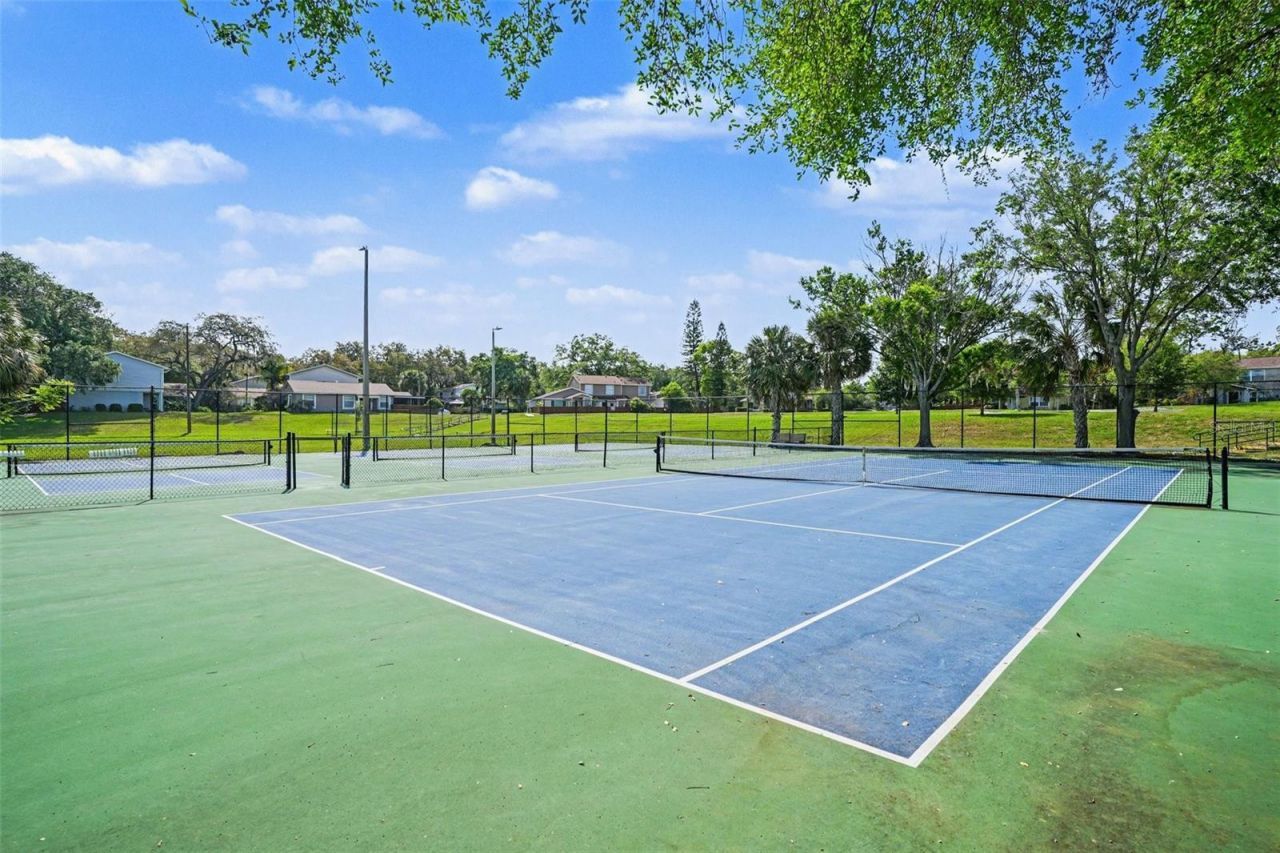 14733 Pine Glen Circle, Lutz, FL 33559 Photo
