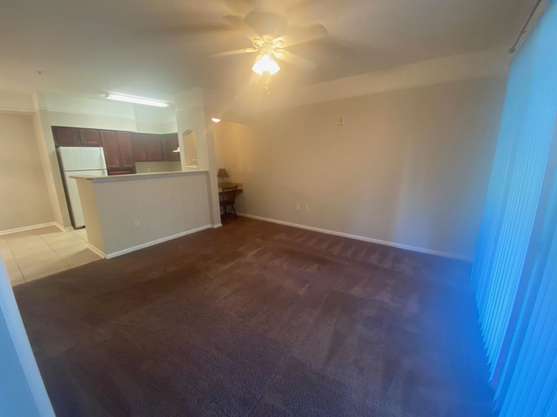 2801 Chancellorsville Drive, Unit 906, Tallahassee, FL 32312 Photo