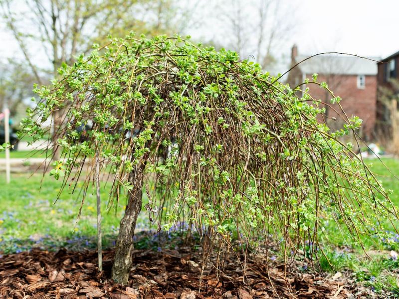 2813 Bryden Road, Columbus, OH 43209 Photo 11