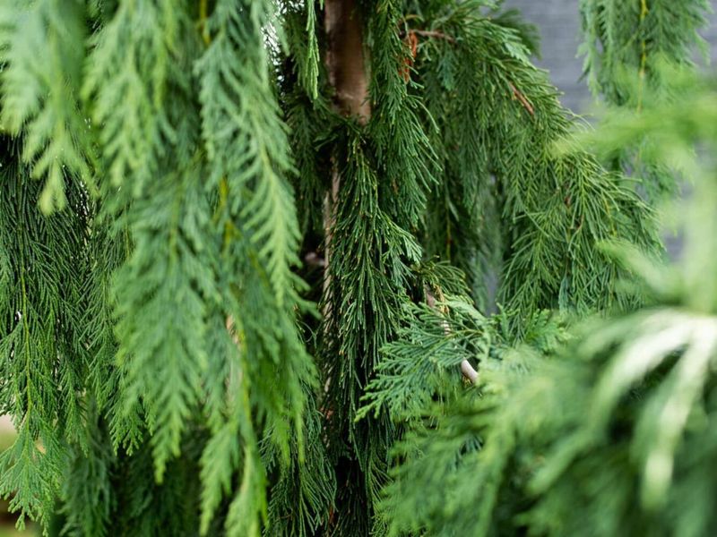 2813 Bryden Road, Columbus, OH 43209 Photo 6