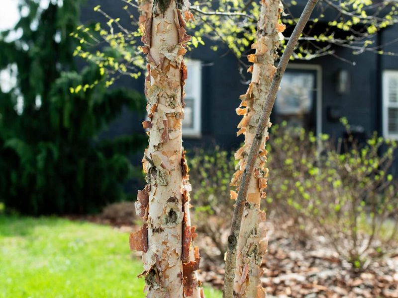 2813 Bryden Road, Columbus, OH 43209 Photo 7