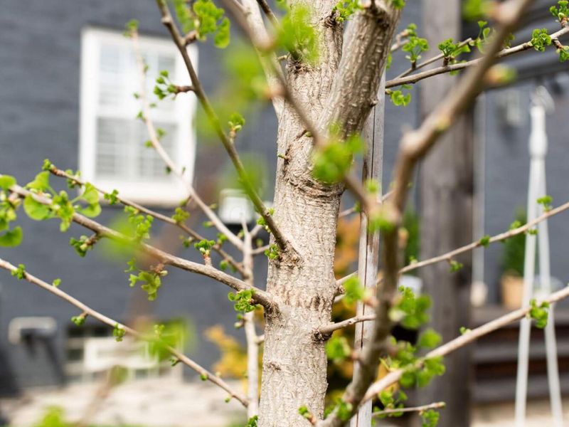 2813 Bryden Road, Columbus, OH 43209 Photo 80