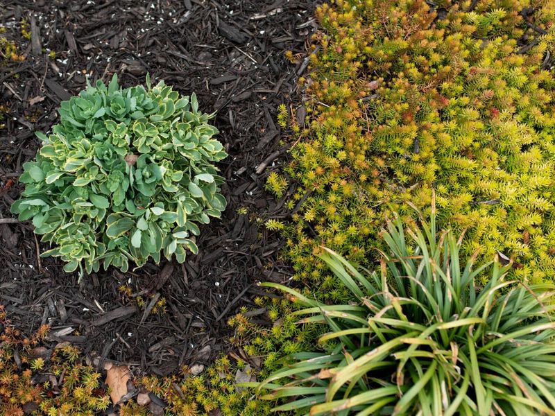 2813 Bryden Road, Columbus, OH 43209 Photo 89