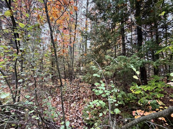 4962 Chamberlain Road, Cheboygan, MI 49721