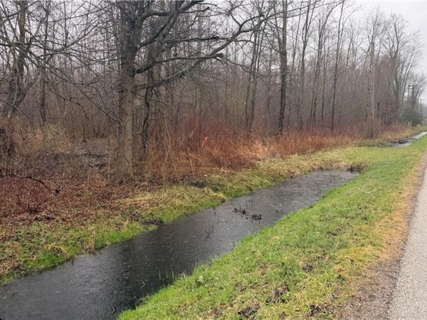 Ninevah Road , Geneva, OH 44041