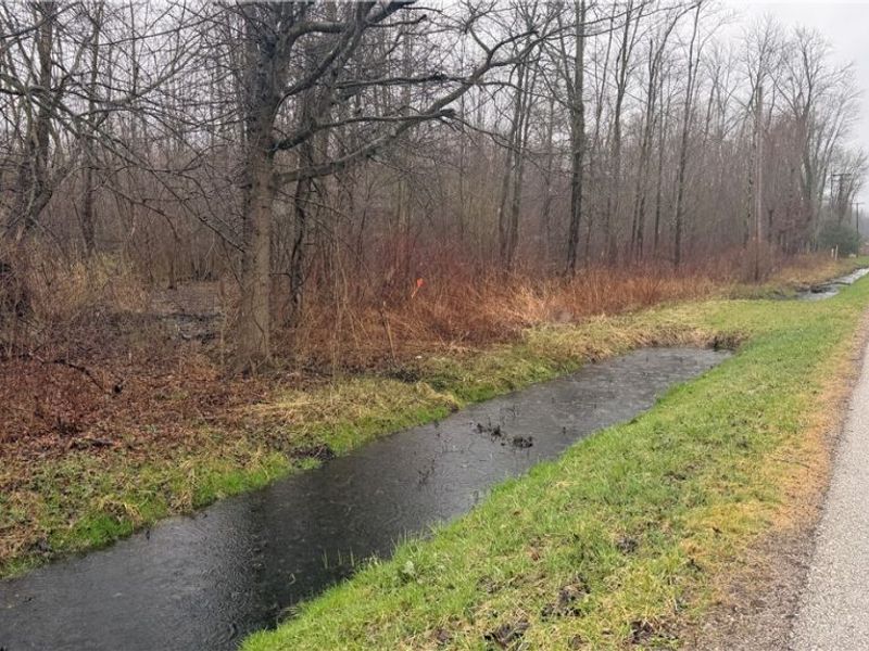 Ninevah Road , Geneva, OH 44041 Photo 1