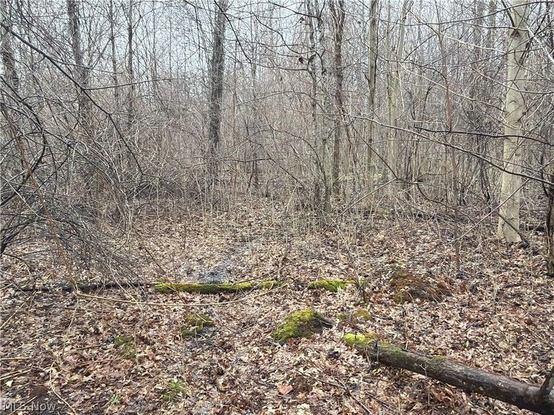 Ninevah Road , Geneva, OH 44041 Photo 11