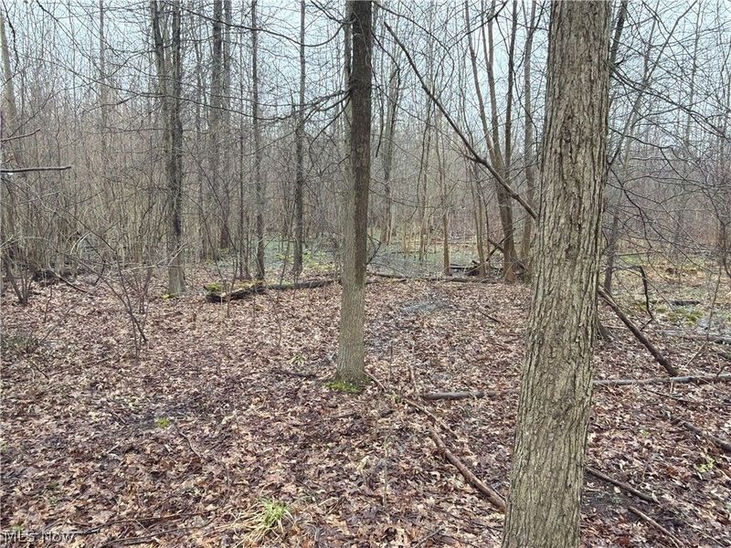 Ninevah Road , Geneva, OH 44041 Photo 12