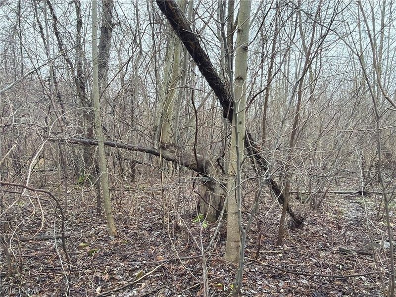 Ninevah Road , Geneva, OH 44041 Photo 13