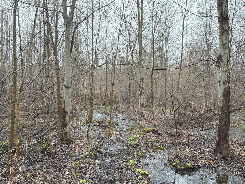 Ninevah Road , Geneva, OH 44041 Photo 14