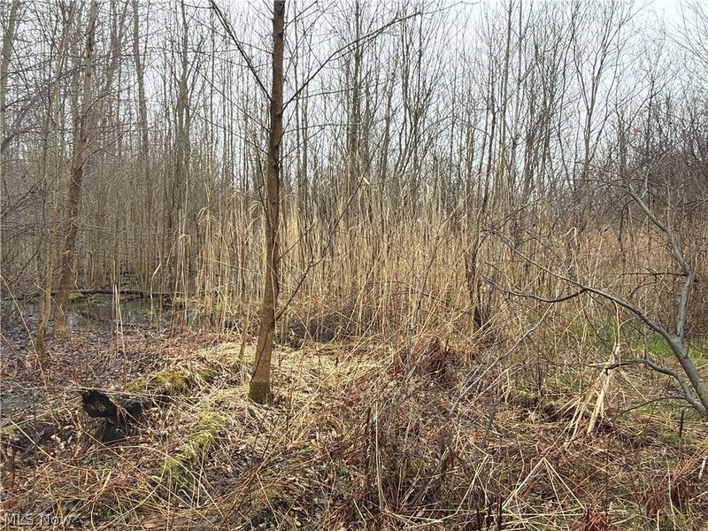 Ninevah Road , Geneva, OH 44041 Photo 15