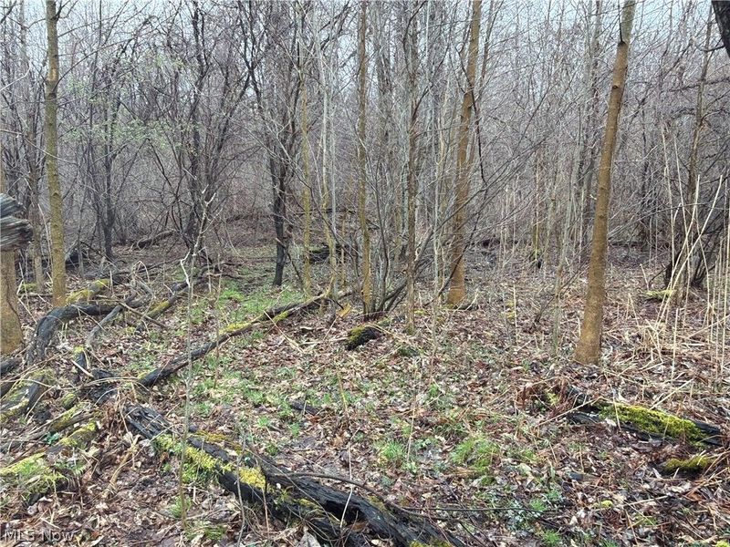 Ninevah Road , Geneva, OH 44041 Photo 16