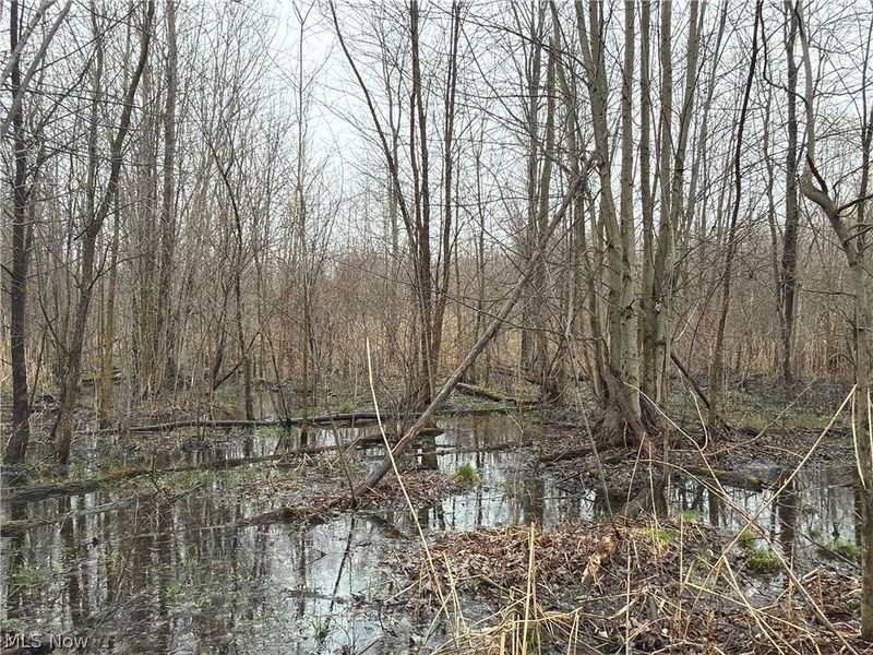 Ninevah Road , Geneva, OH 44041 Photo 17