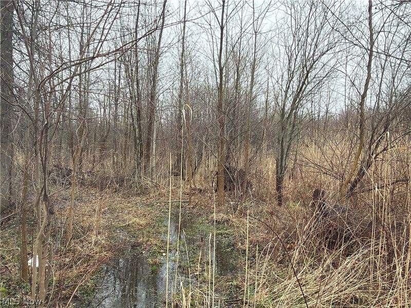 Ninevah Road , Geneva, OH 44041 Photo 18