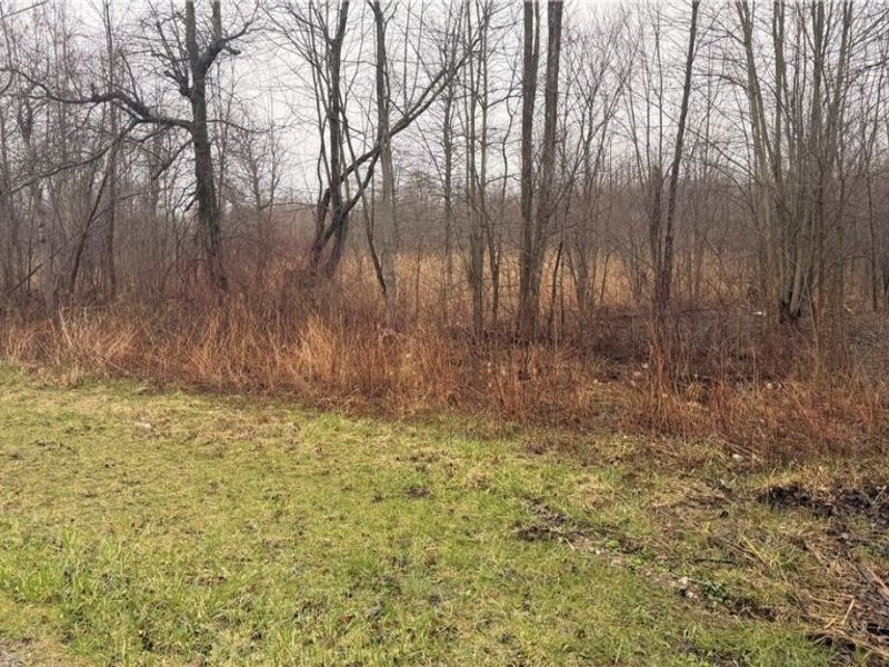 Ninevah Road , Geneva, OH 44041 Photo 2