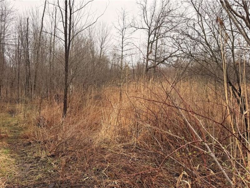 Ninevah Road , Geneva, OH 44041 Photo 6