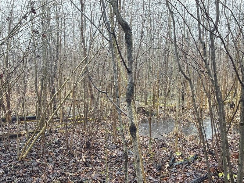 Ninevah Road , Geneva, OH 44041 Photo 7