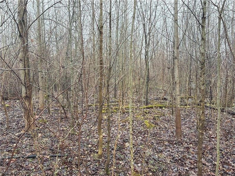 Ninevah Road , Geneva, OH 44041 Photo 8